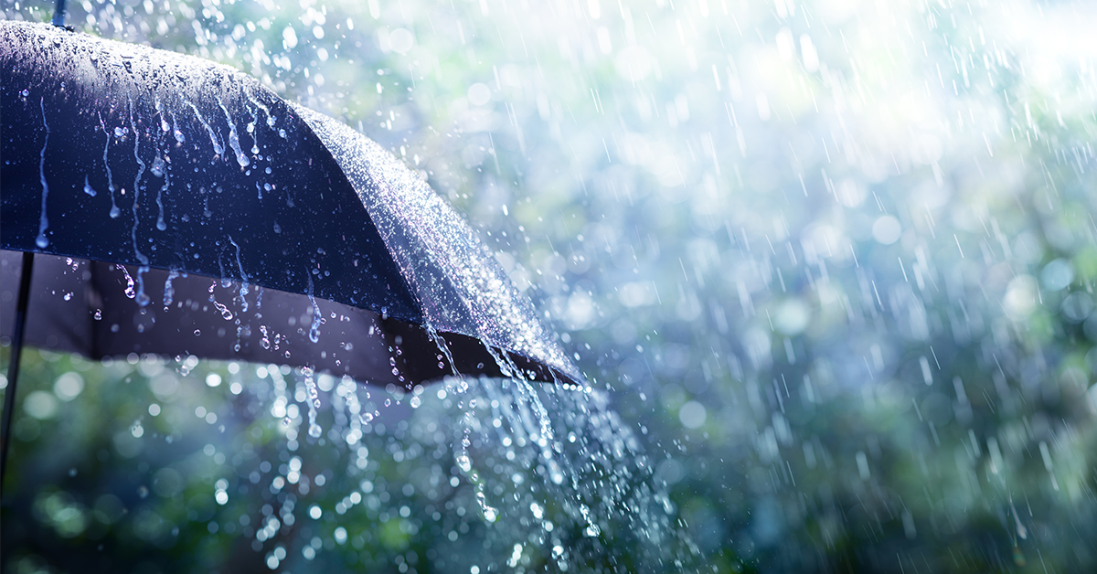 Umbrella with Rain