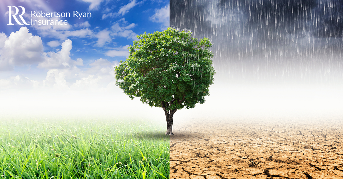 Weather Climate