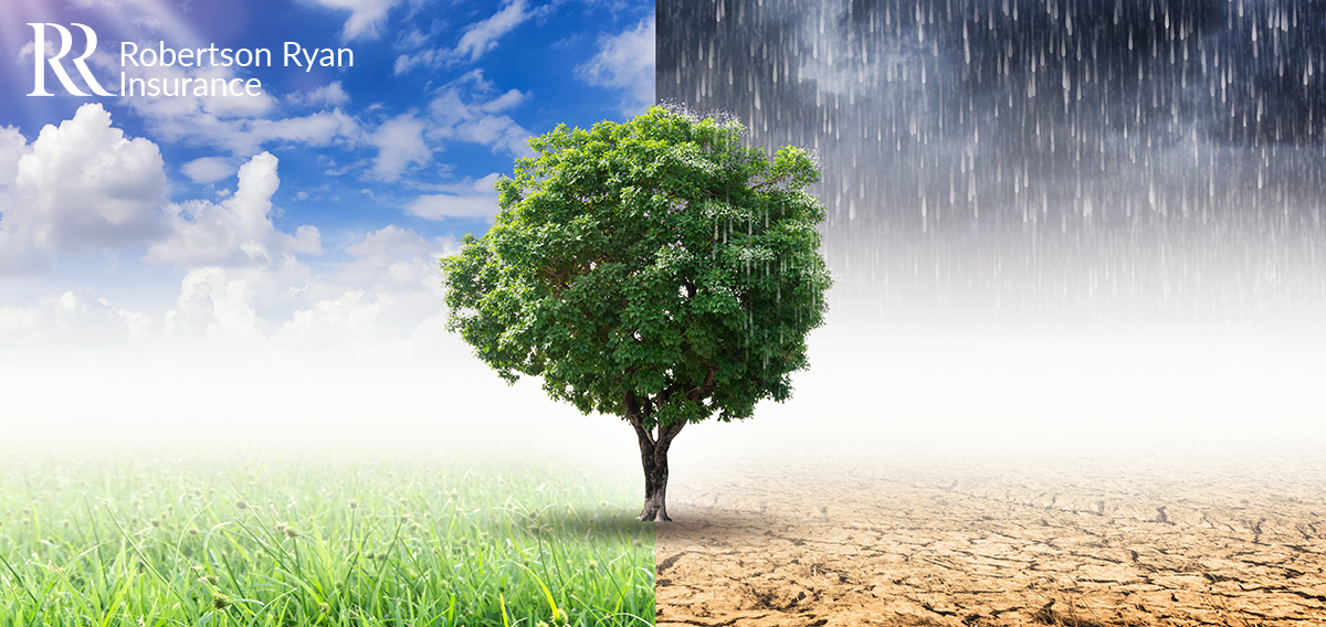 Weather Climate